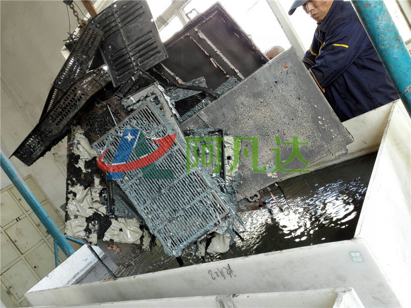 香蕉视频免费在线现场应用图片